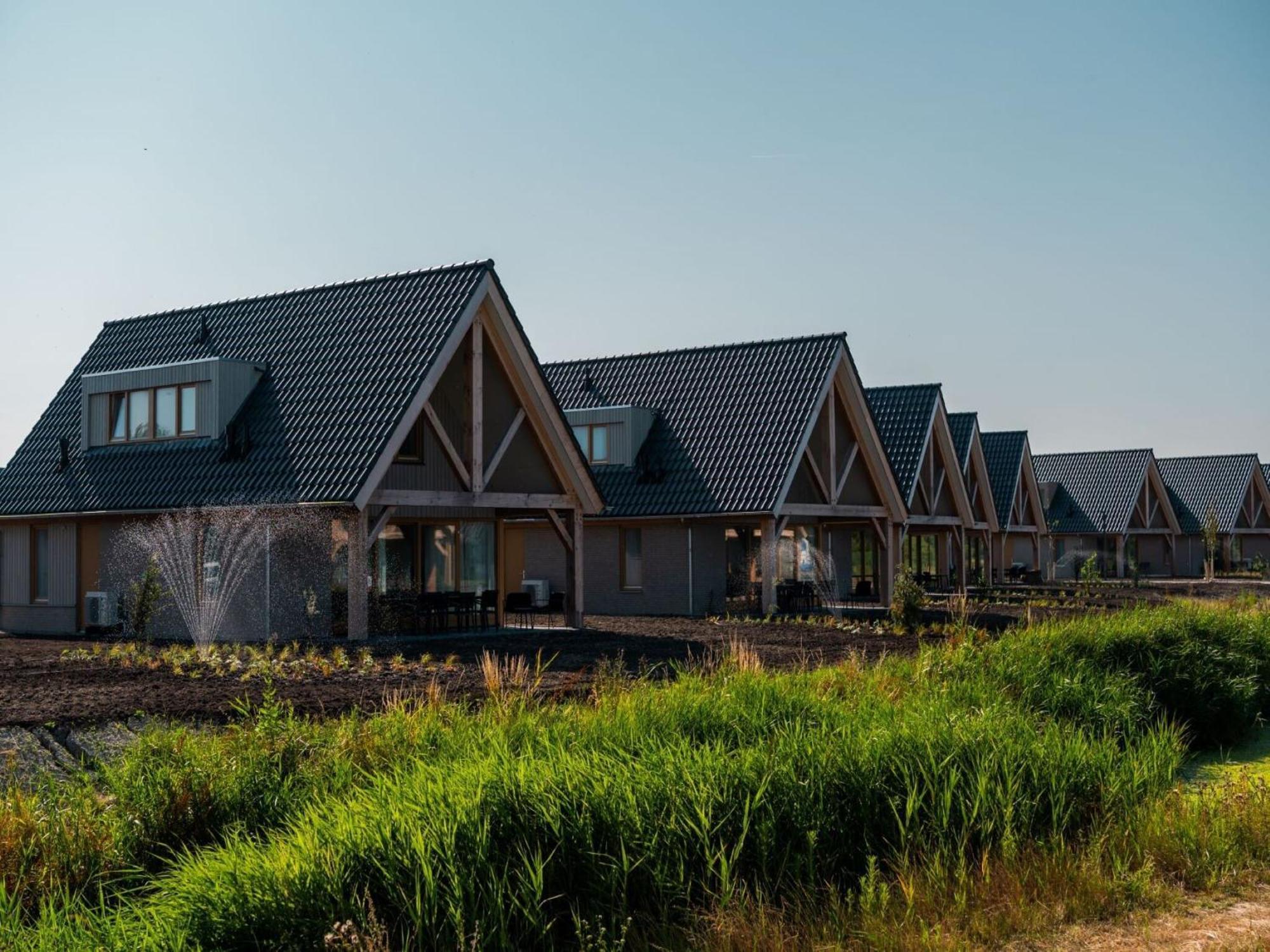 Dune On A Park, At 1 3 Km * Cadzand